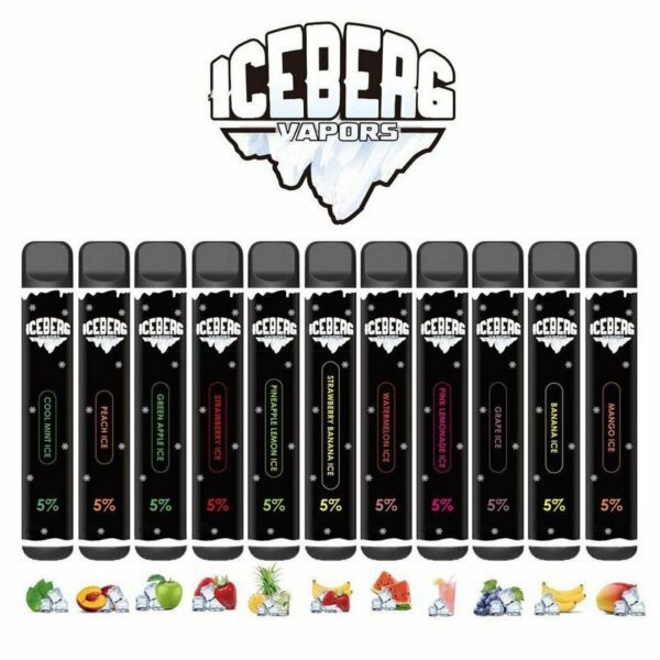 POD DESCARTÁVEL 5% NICSALT 1000 PUFFS - ICEBERG VAPORS